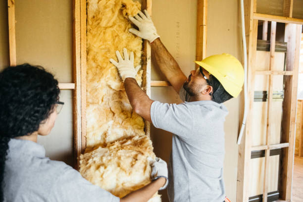 Best Attic Insulation Installation  in Goleta, CA