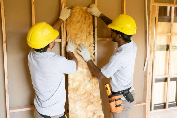 Types of Insulation We Offer in Goleta, CA